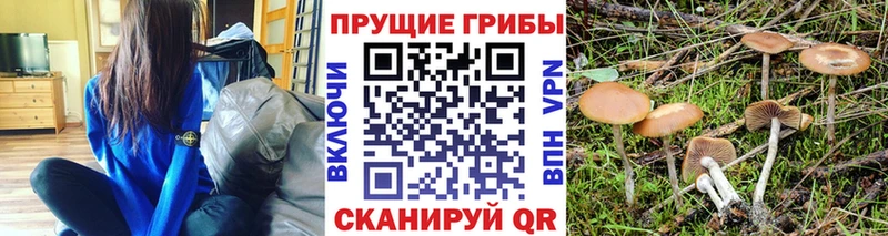Псилоцибиновые грибы прущие грибы  закладка  Бокситогорск 